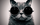 Avatar: Tom